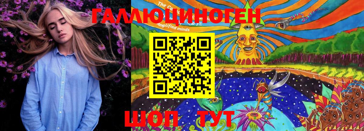 Качканар  Псилоцибиновые грибы Psilocybe  Вход с VPN 