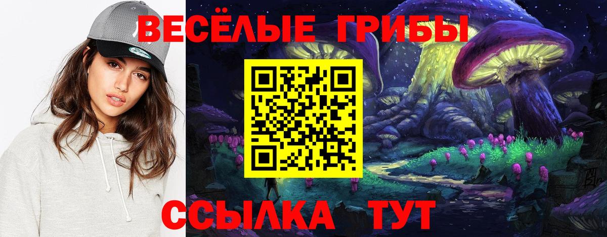 Псилоцибиновые грибы Cubensis Качканар